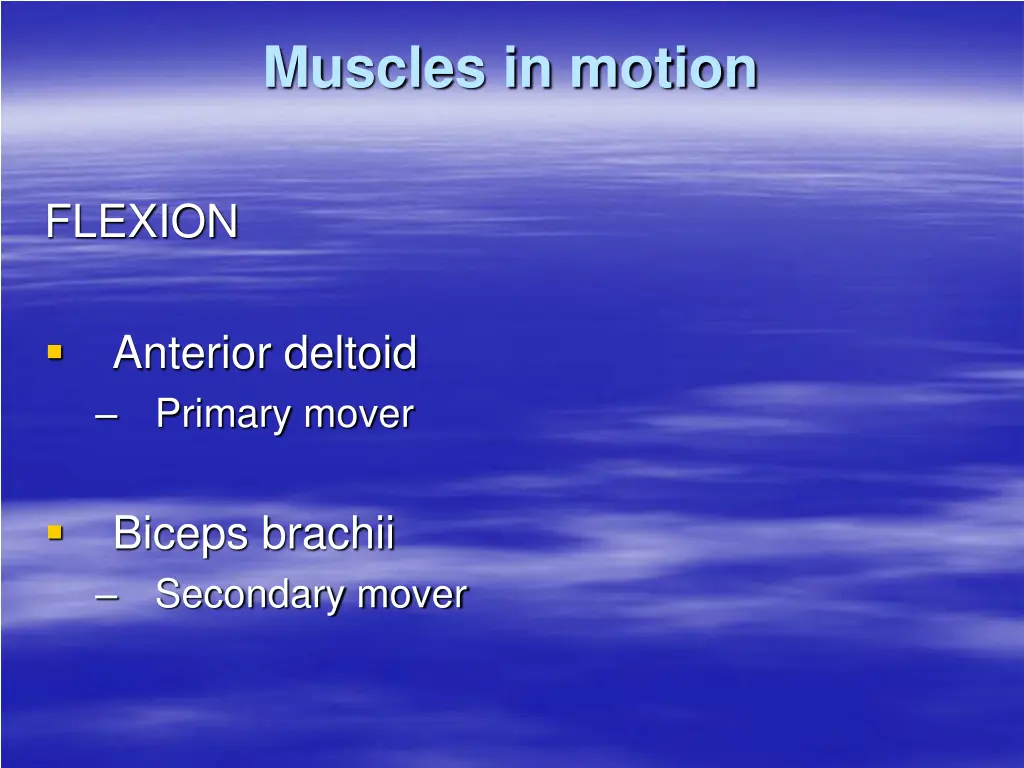 muscles in motion