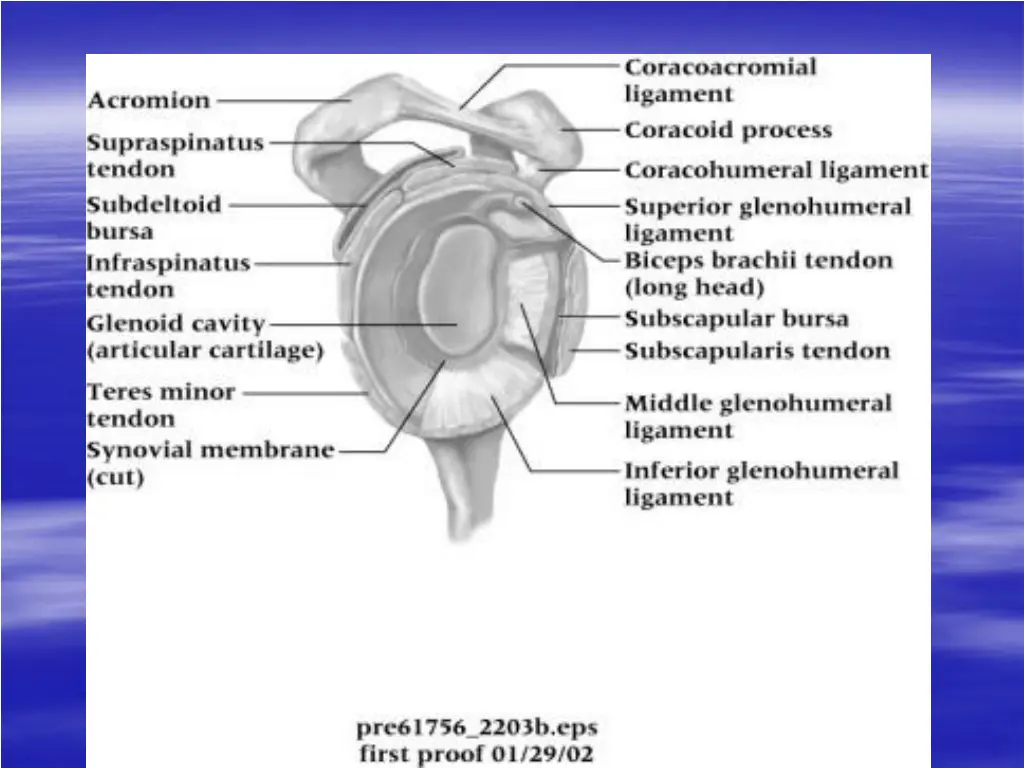 slide12