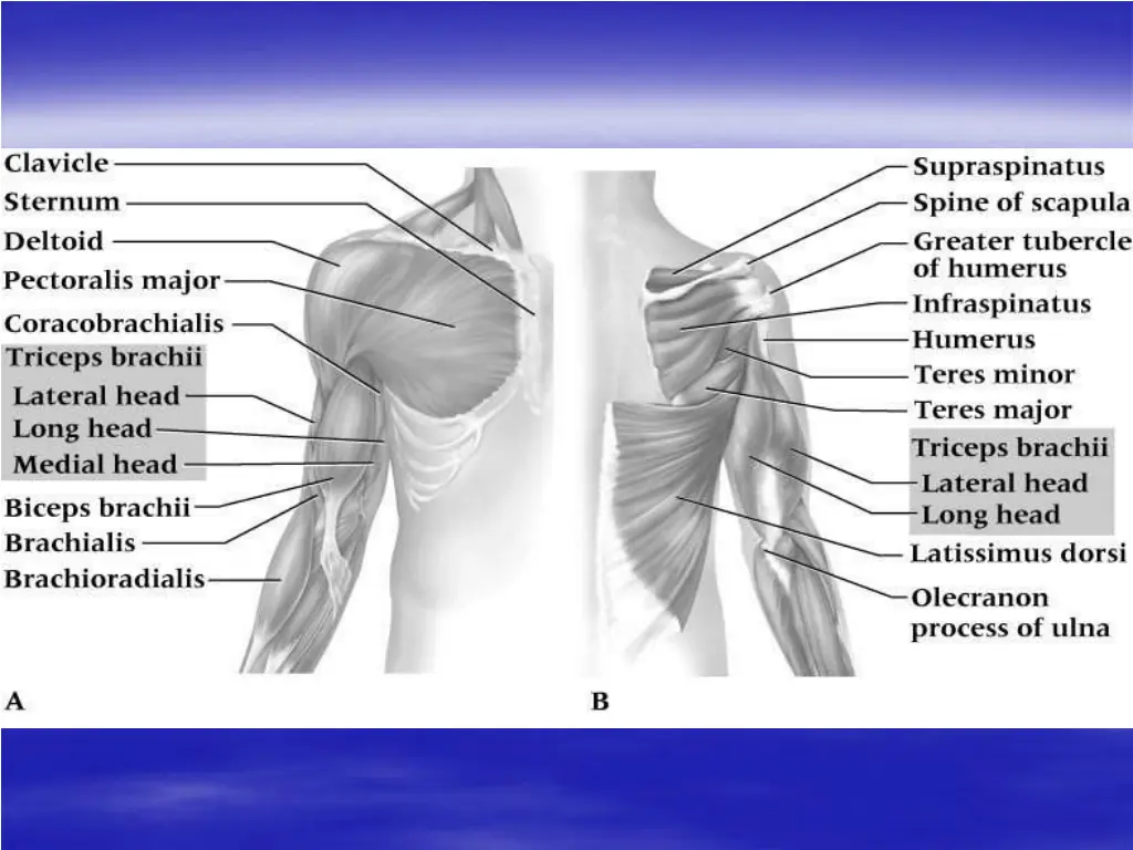 slide23