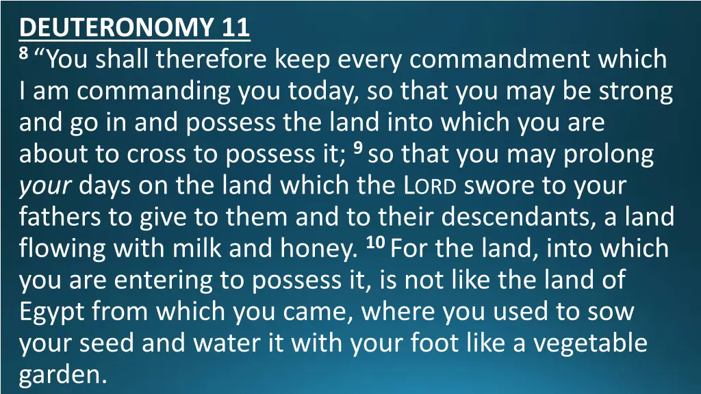 deuteronomy 11 8 you shall therefore keep every