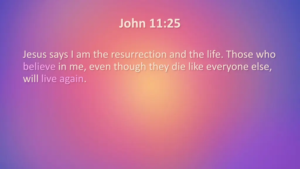 john 11 25