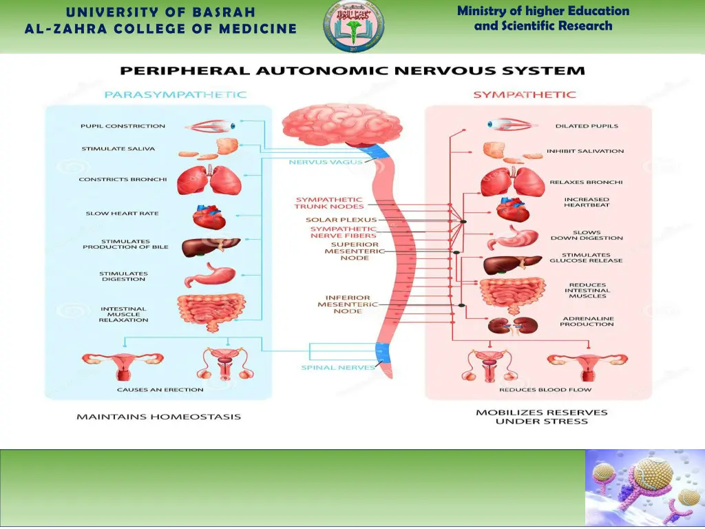 ministry of higher education and scientific 2