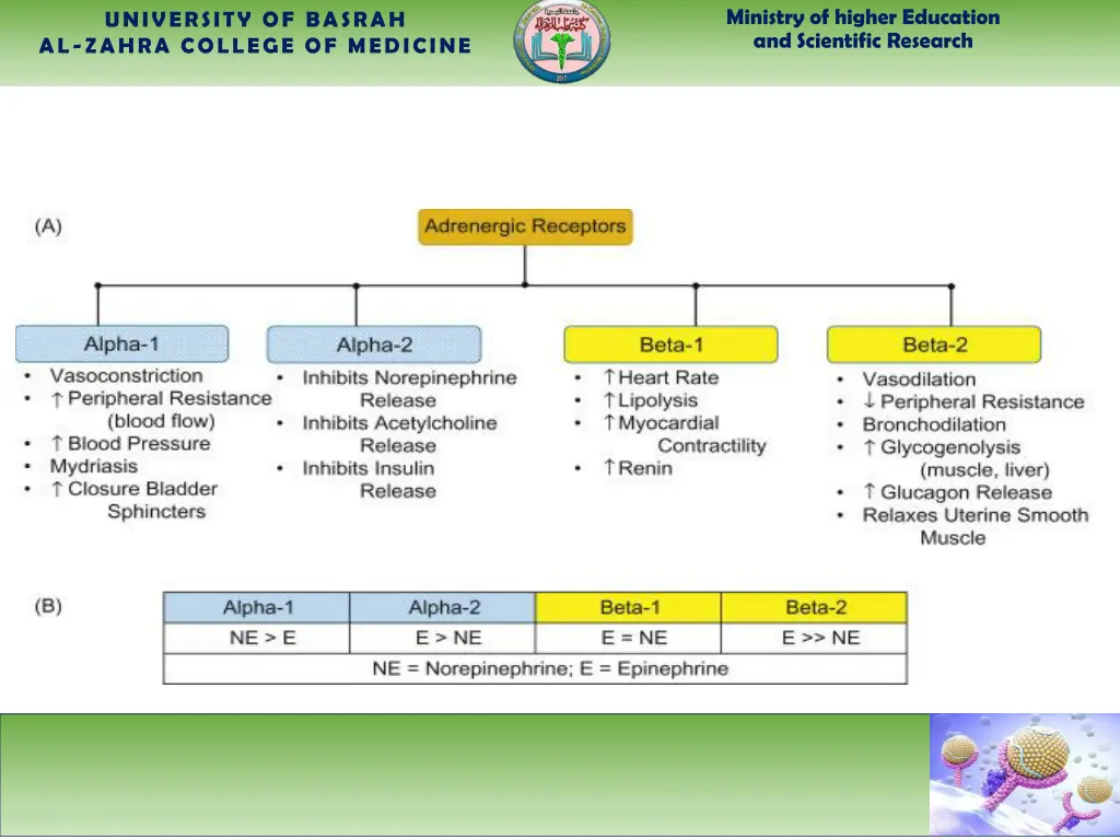 ministry of higher education and scientific 3