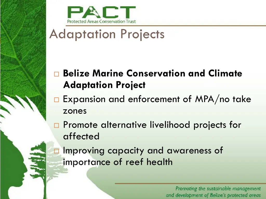 adaptation projects