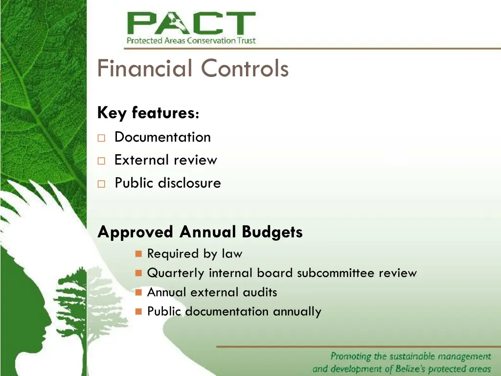 financial controls