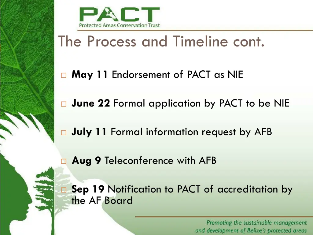 the process and timeline cont