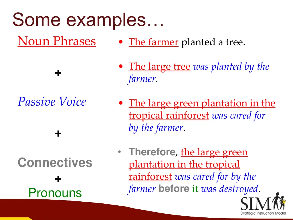 some examples noun phrases