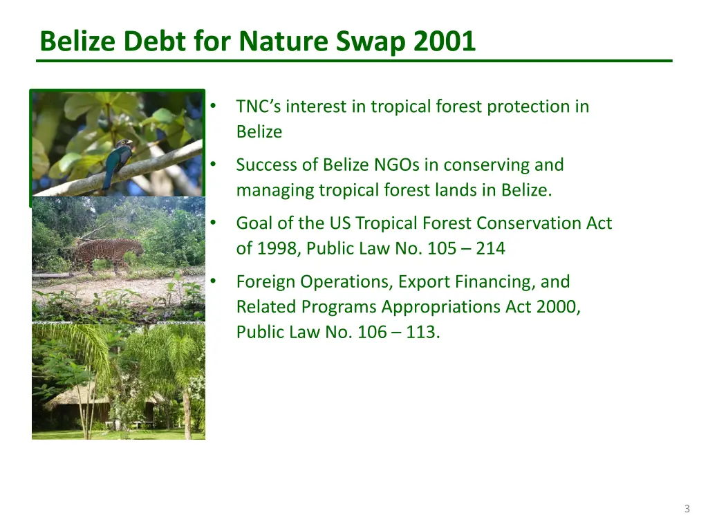 belize debt for nature swap 2001 1