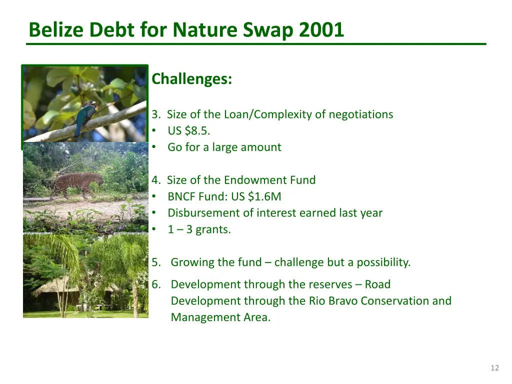 belize debt for nature swap 2001 10