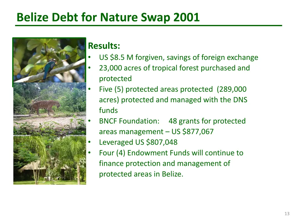 belize debt for nature swap 2001 11