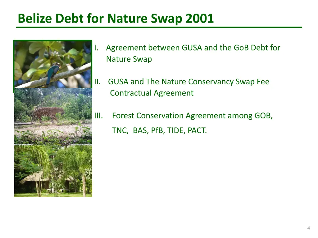 belize debt for nature swap 2001 2