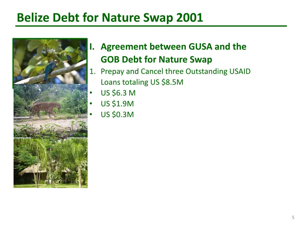 belize debt for nature swap 2001 3