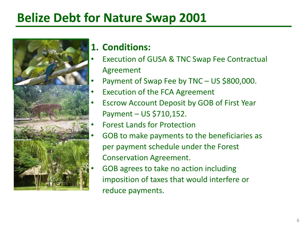 belize debt for nature swap 2001 4