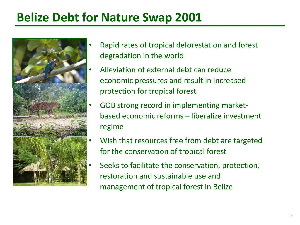 belize debt for nature swap 2001