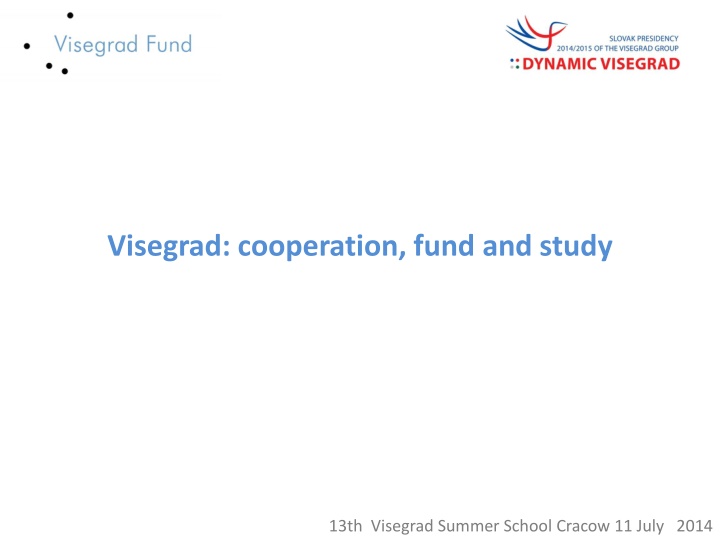 visegrad cooperation fund and study