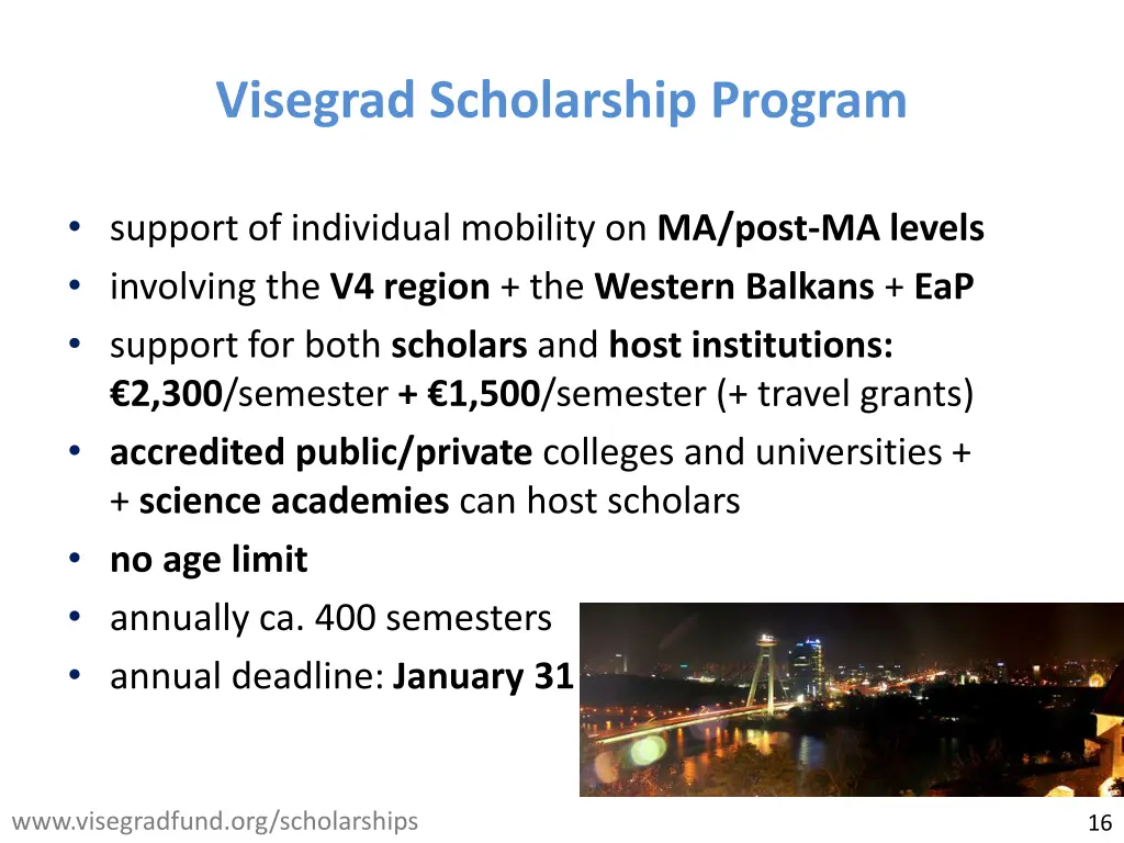 visegrad scholarship program