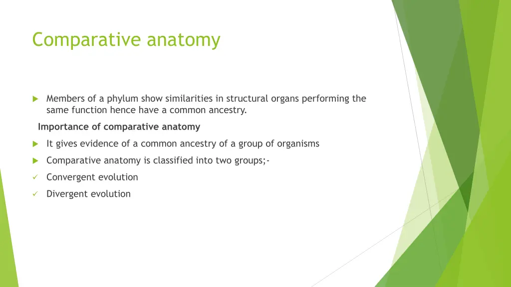 comparative anatomy