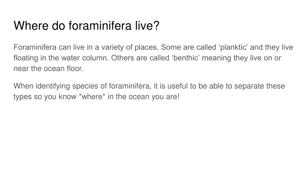 where do foraminifera live