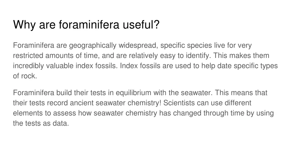 why are foraminifera useful