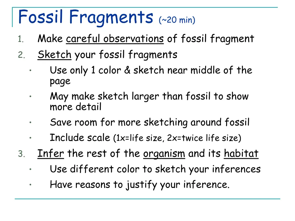 fossil fragments 20 min make careful observations