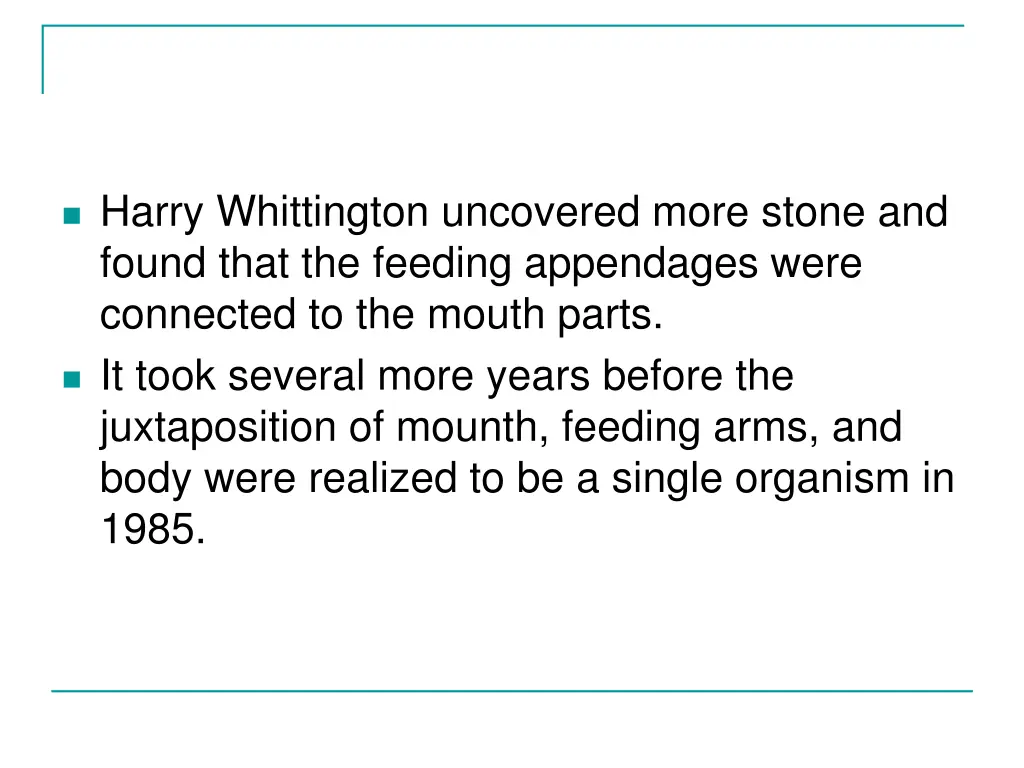 harry whittington uncovered more stone and found