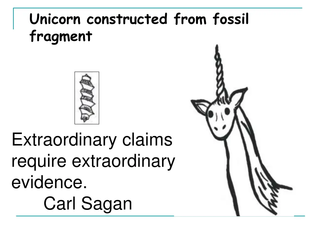 unicorn constructed from fossil fragment