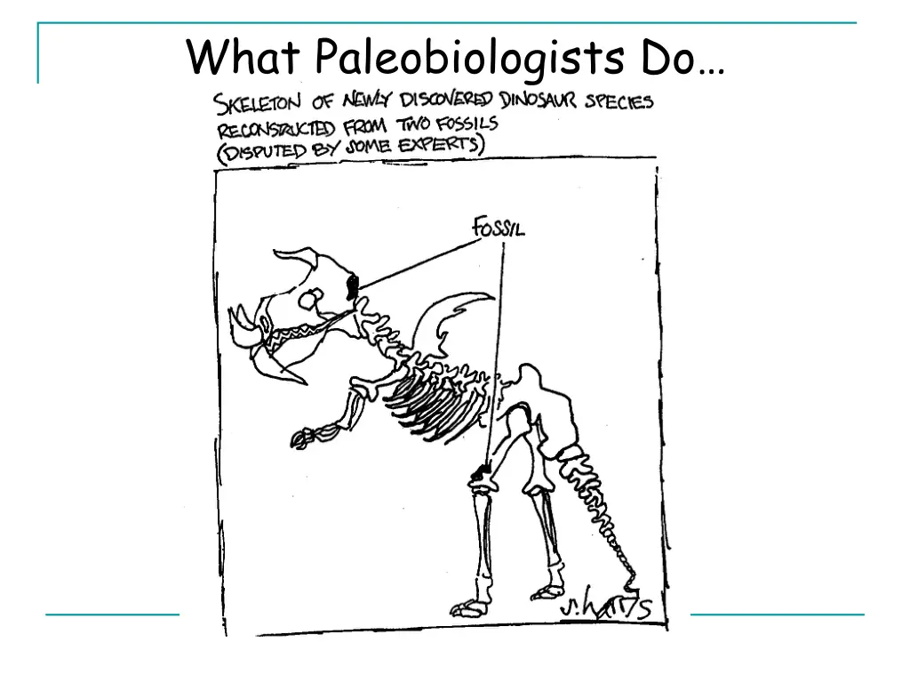 what paleobiologists do