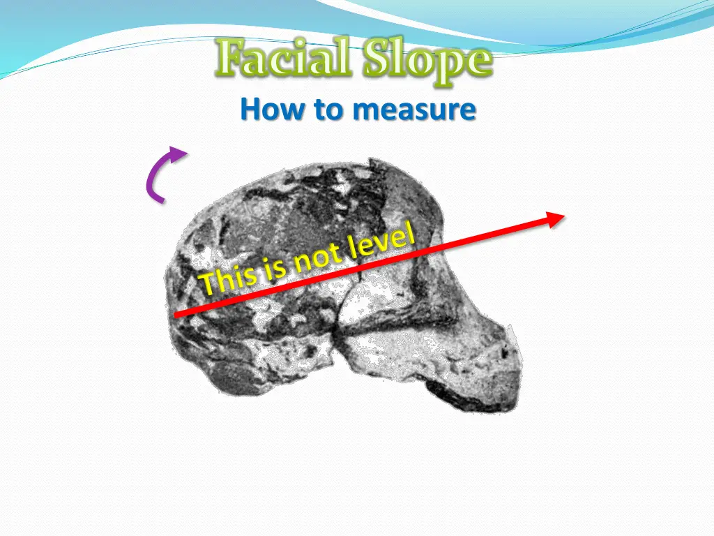 facial slope how to measure