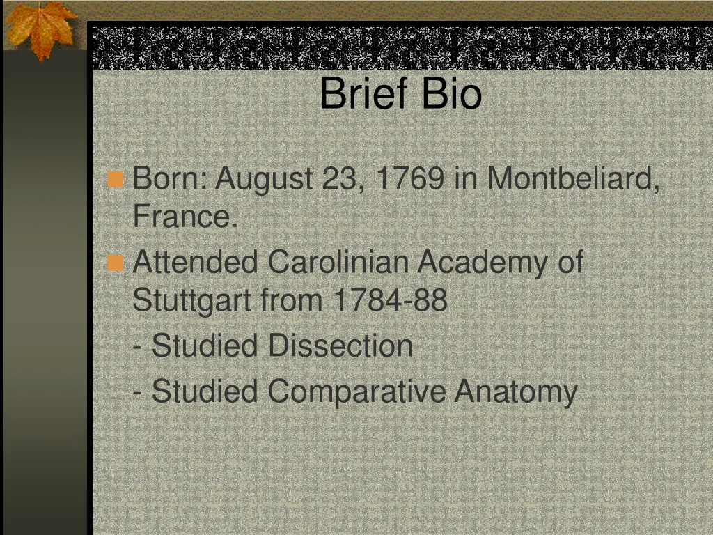 brief bio