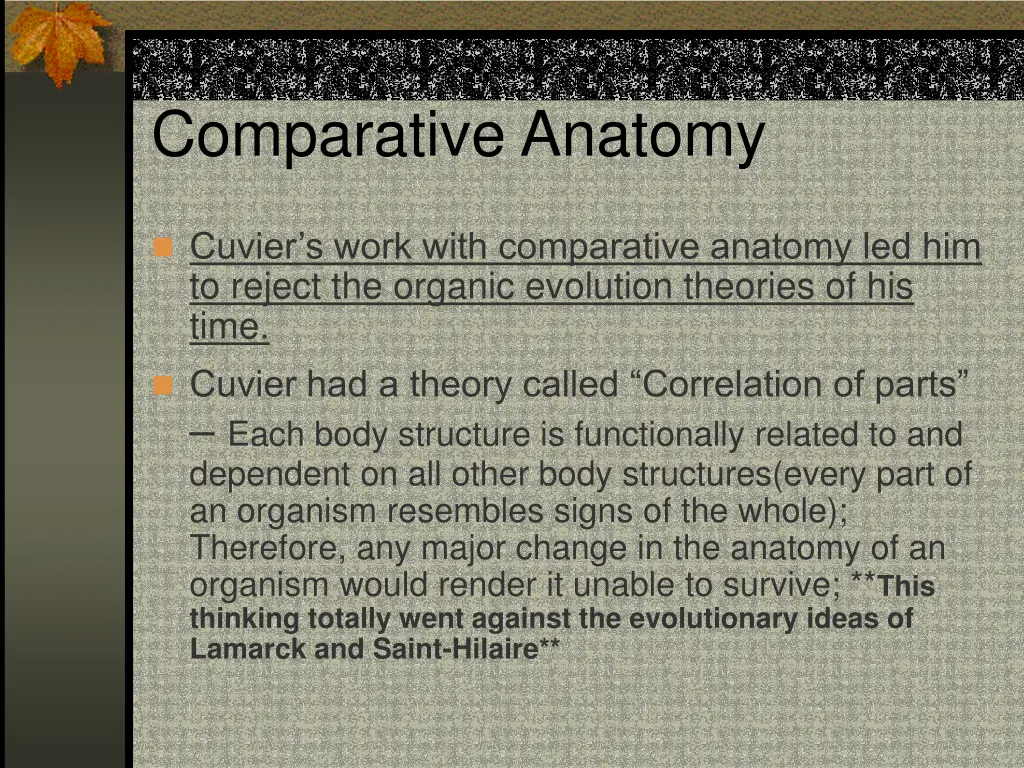 comparative anatomy