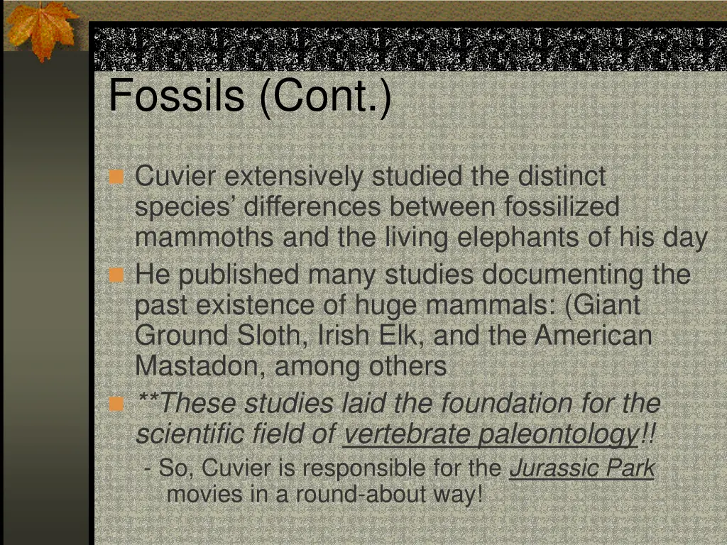 fossils cont