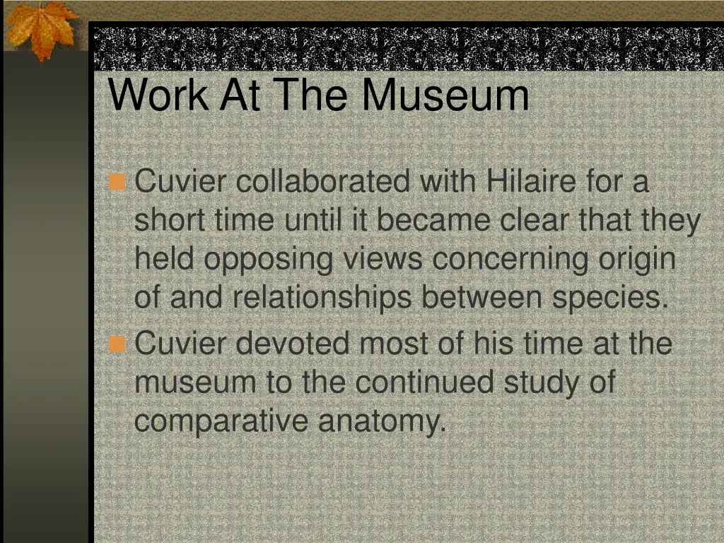 work at the museum