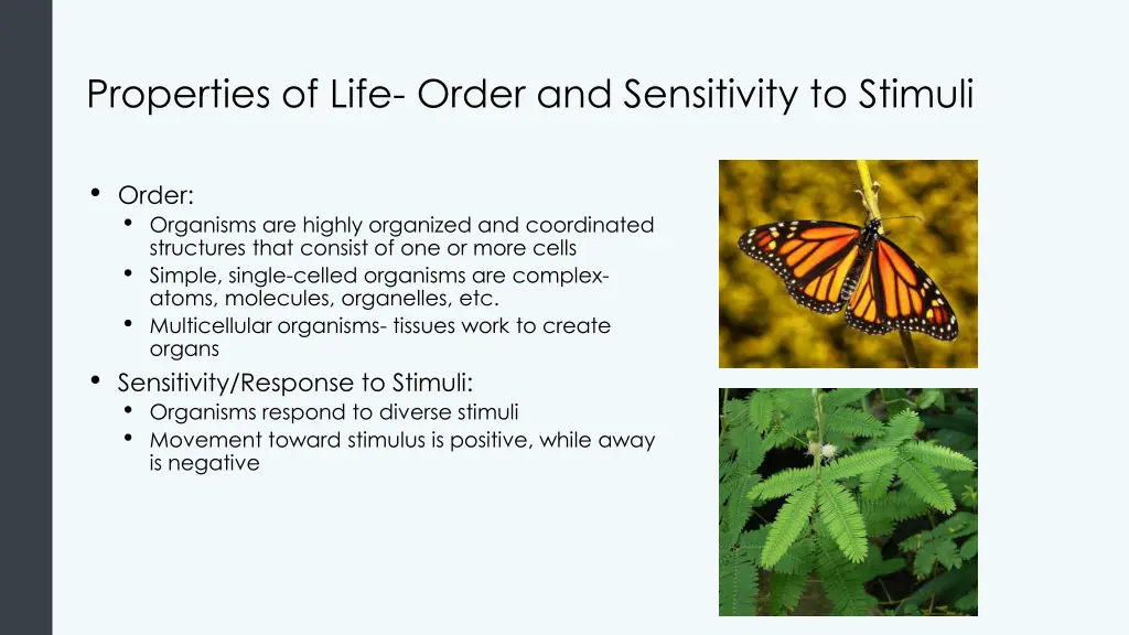 properties of life order and sensitivity