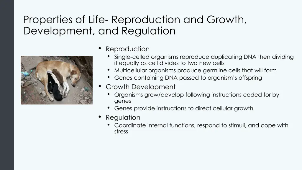 properties of life reproduction and growth