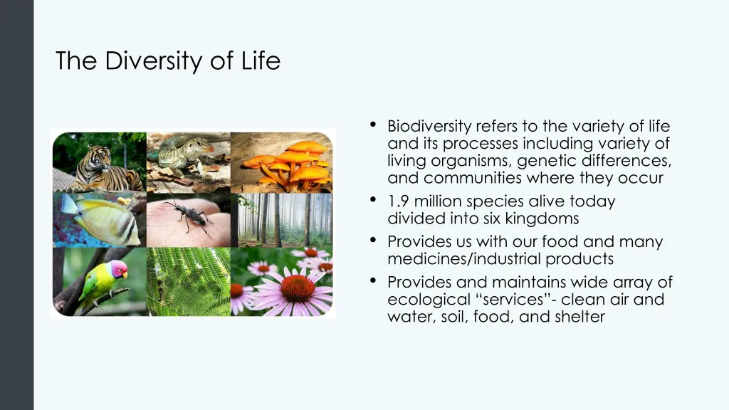 the diversity of life