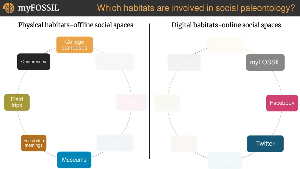 which habitats are involved in social paleontology