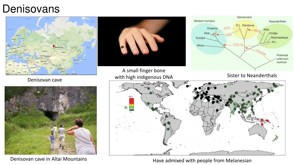 denisovans