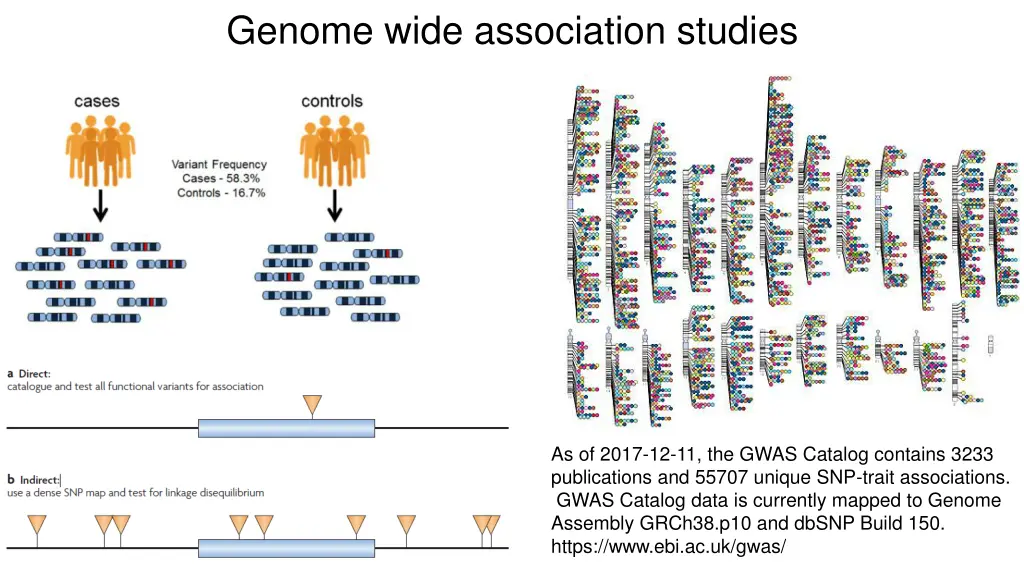 genome wide association studies