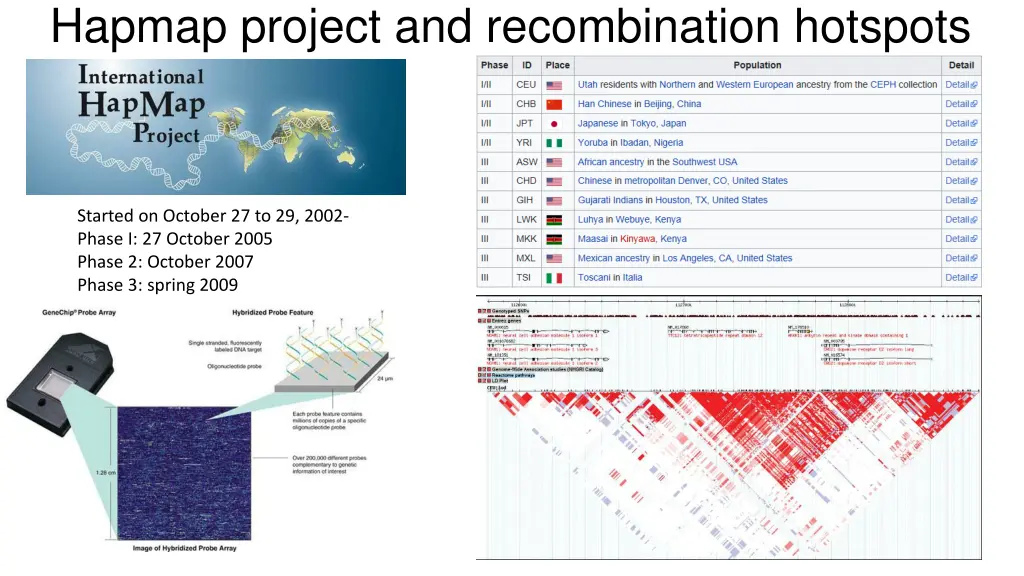 hapmap project and recombination hotspots