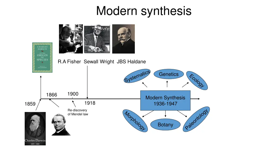 modern synthesis