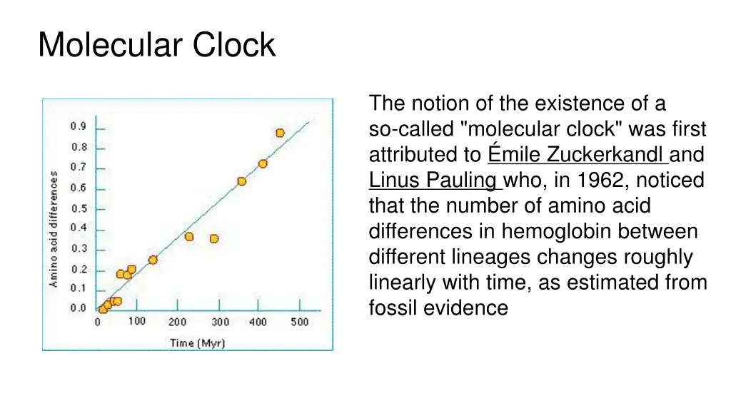 molecular clock