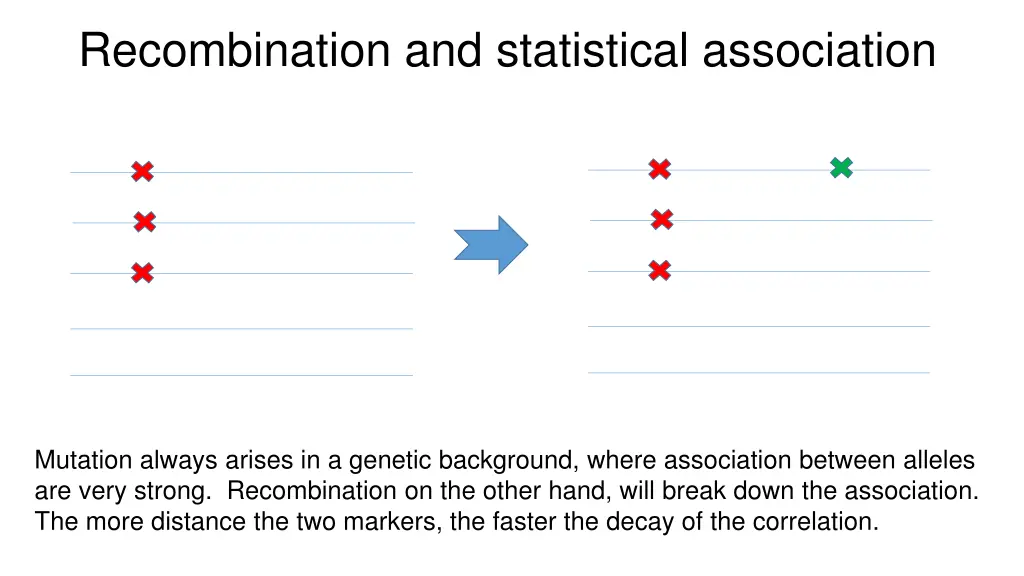 recombination and statistical association