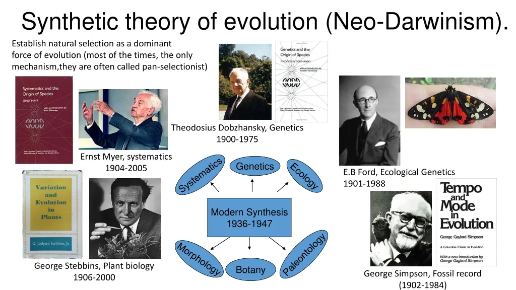 synthetic theory of evolution neo darwinism