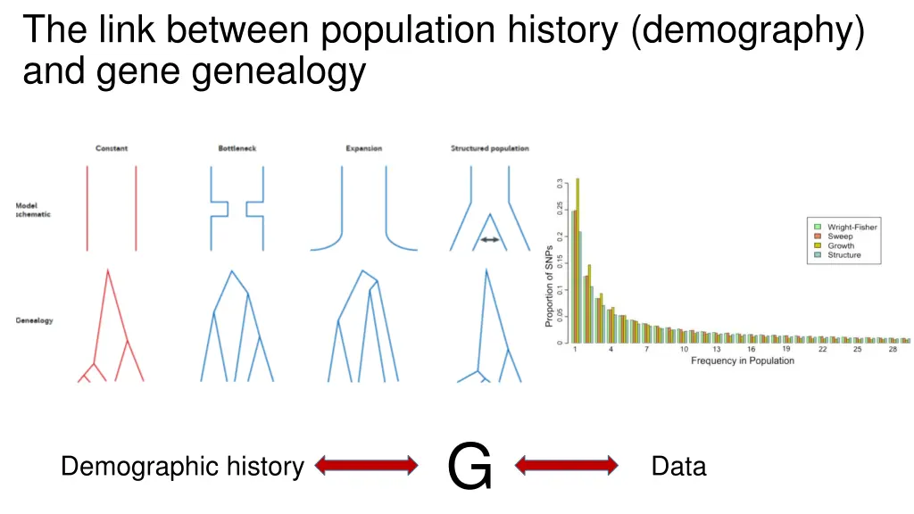 the link between population history demography