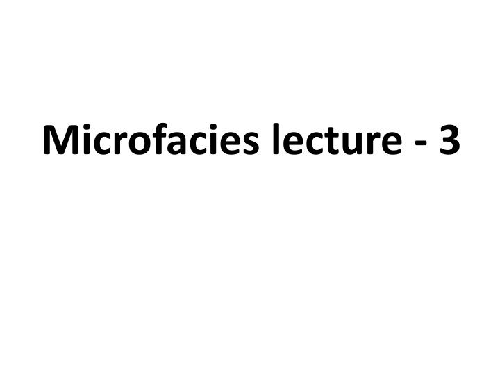 microfacies lecture 3