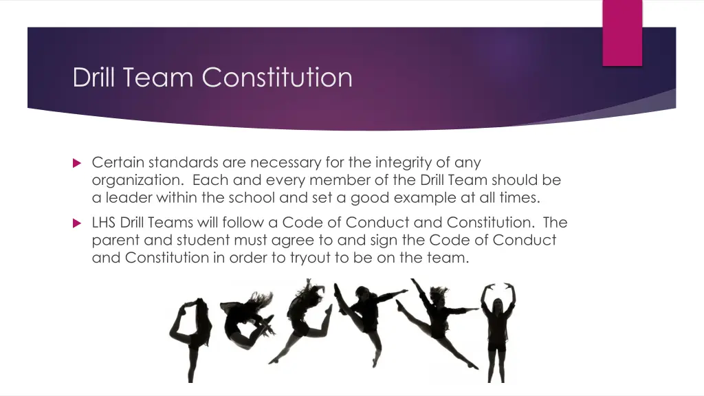 drill team constitution