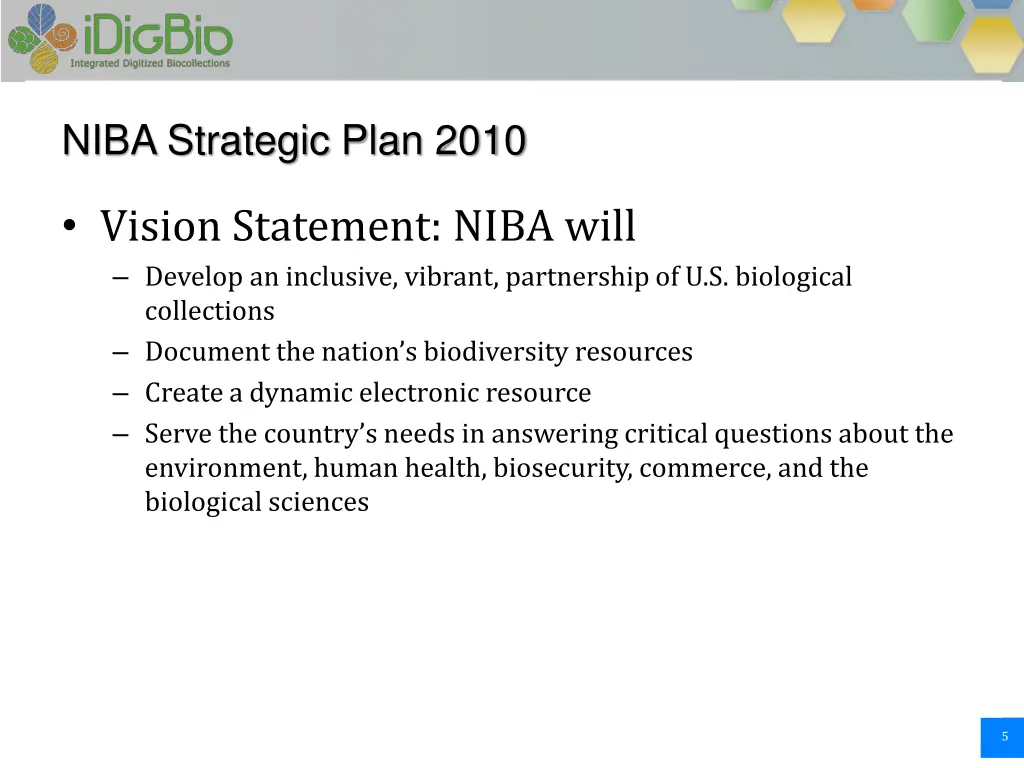 niba strategic plan 2010