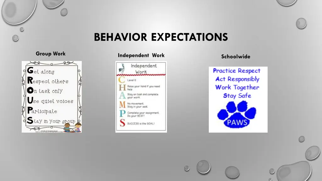 behavior expectations