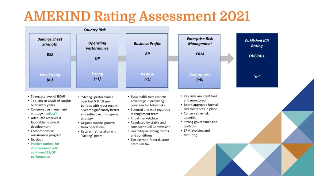 amerind rating assessment 2021