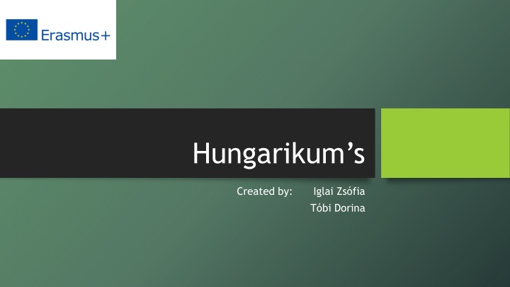 hungarikum s